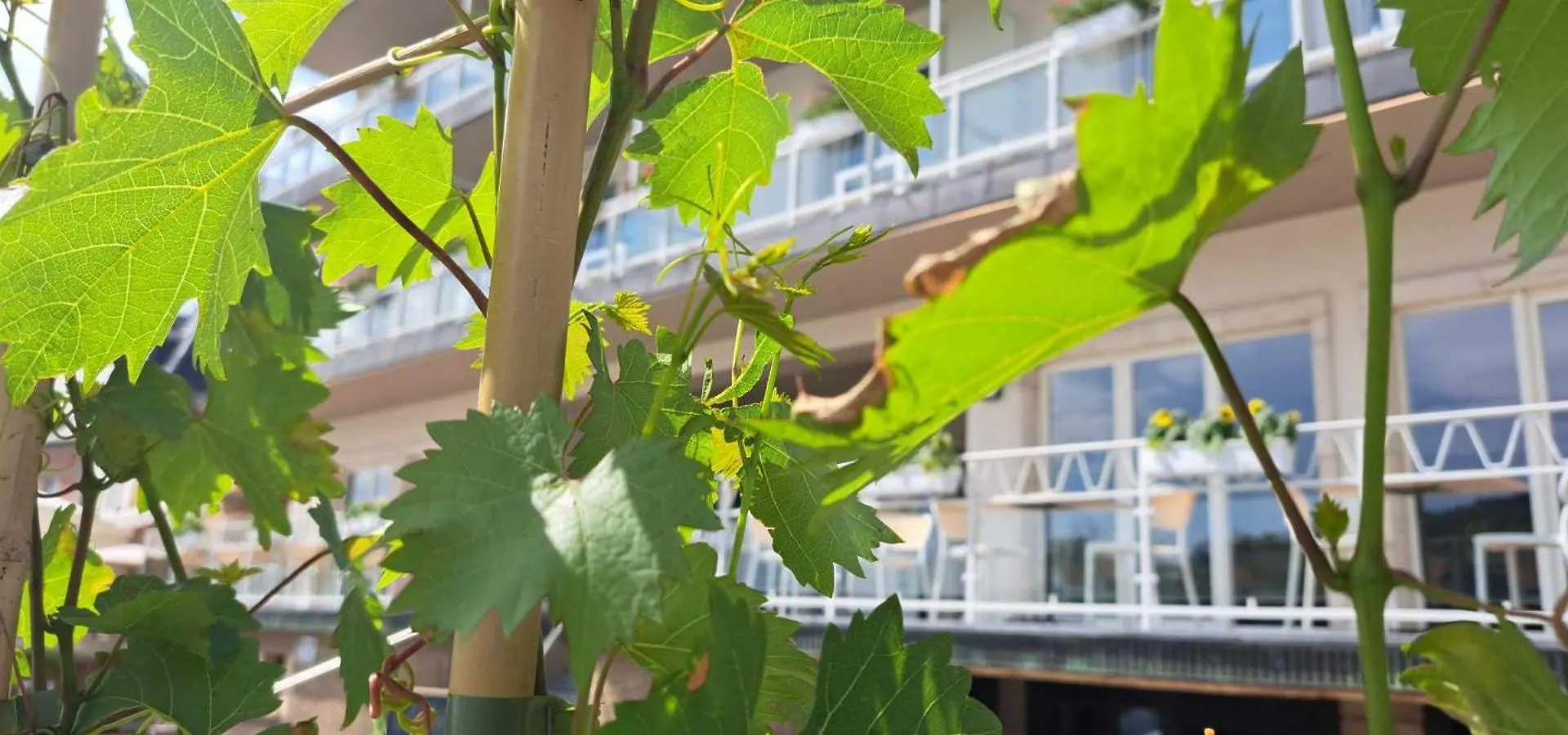 Hotel Ehnen
